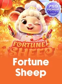 Fortune Sheep